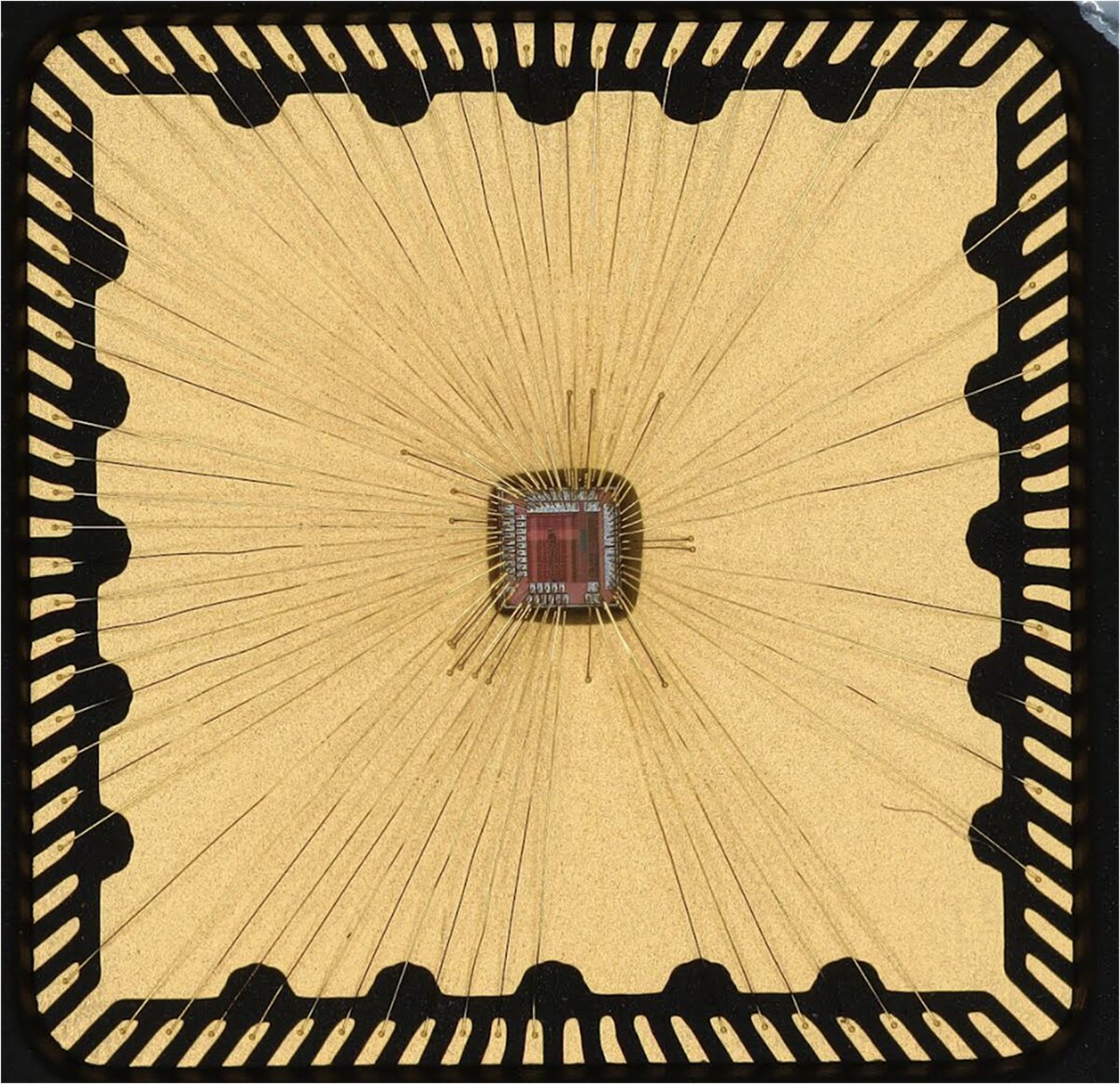 Packaged chip 01