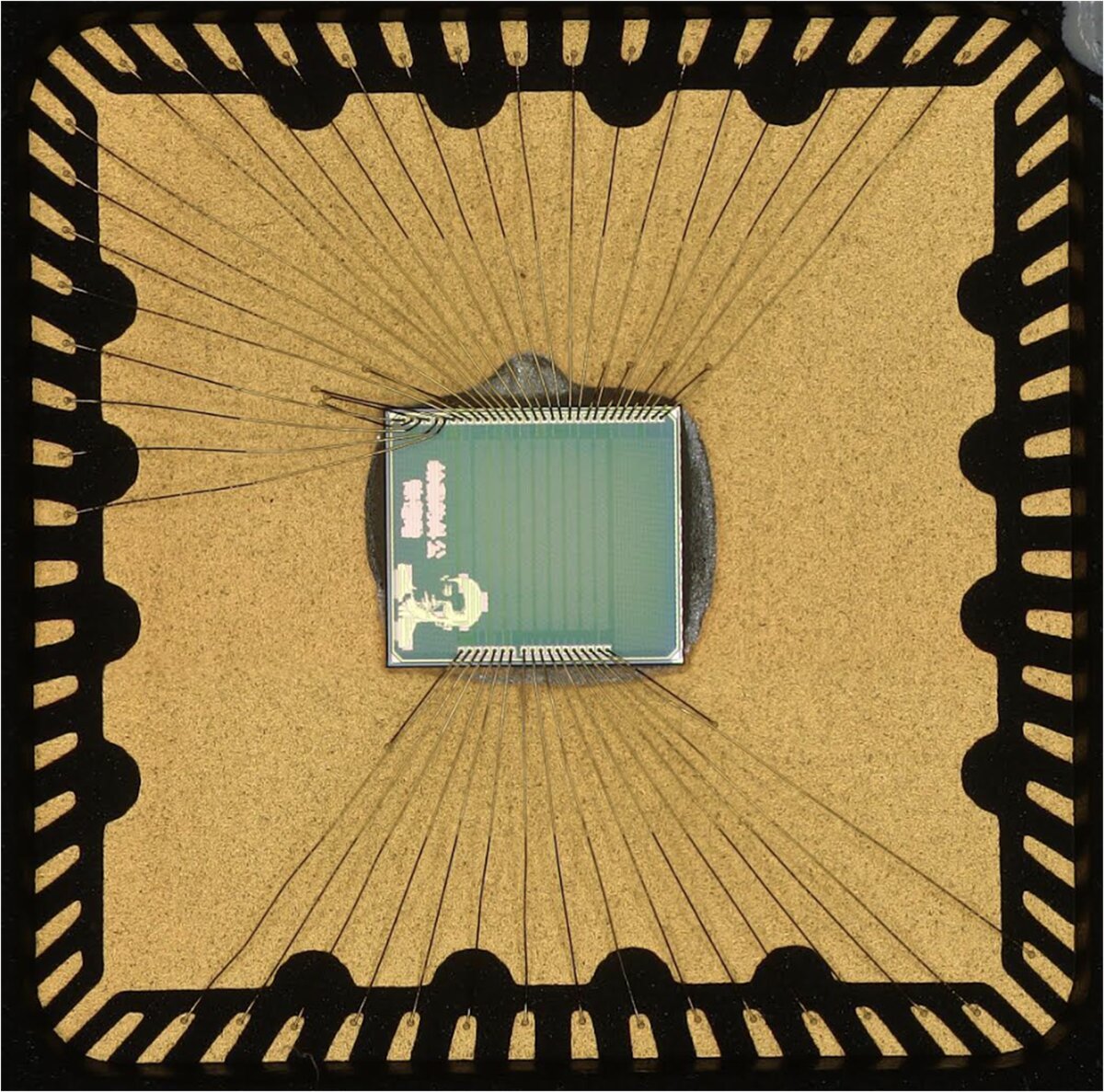 Packaged chip 02