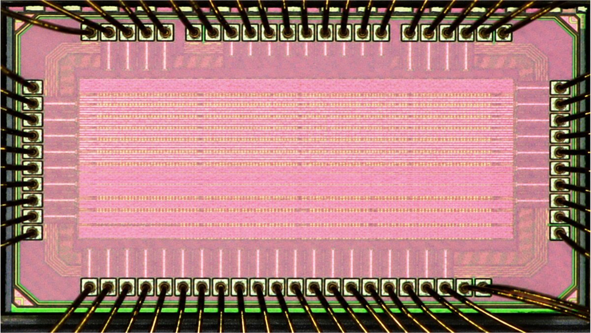 VSIMO 04