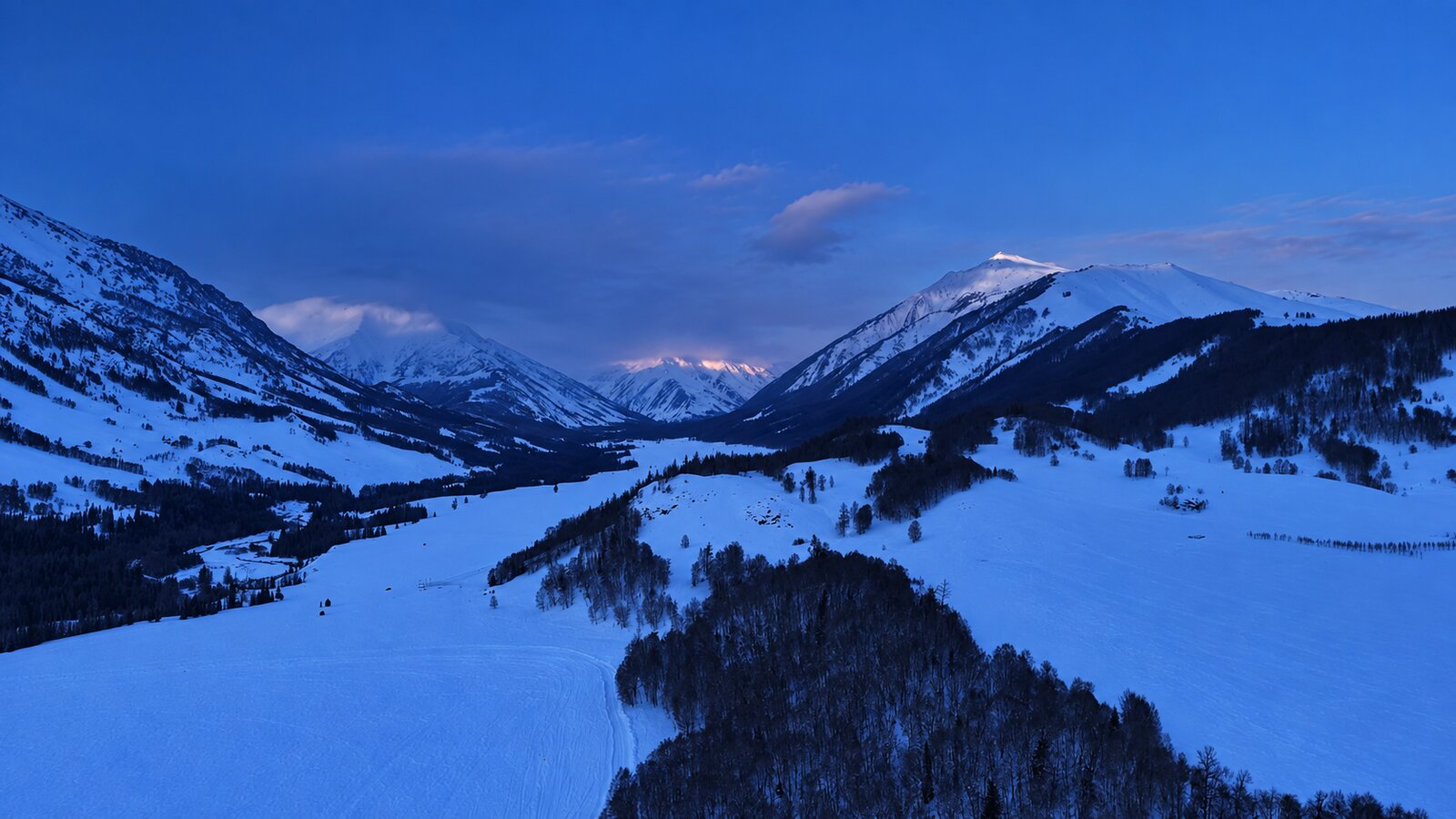 Altay